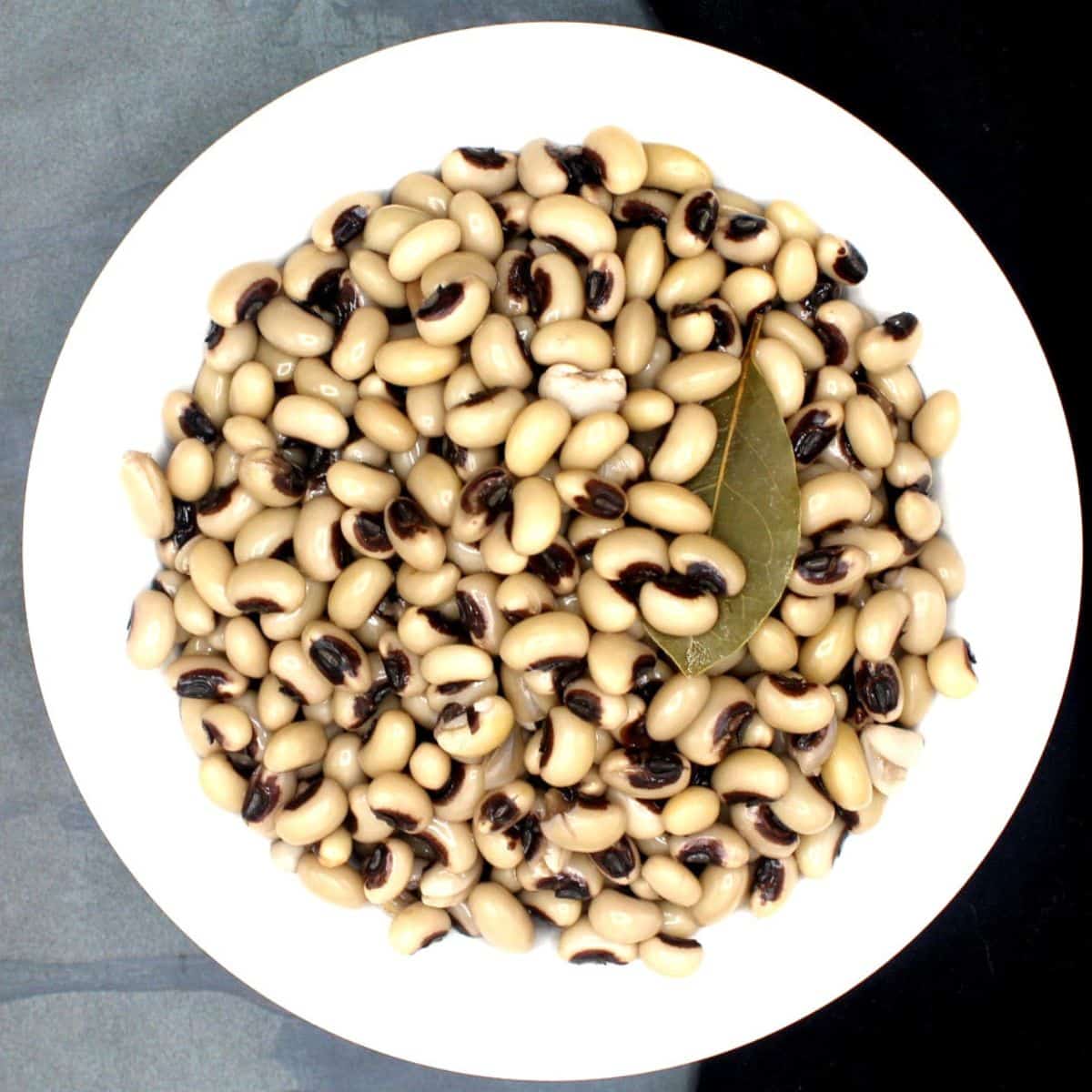 Black Eyed Bean exporter form India