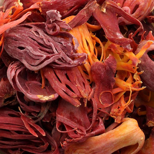 Javitri exporter from India