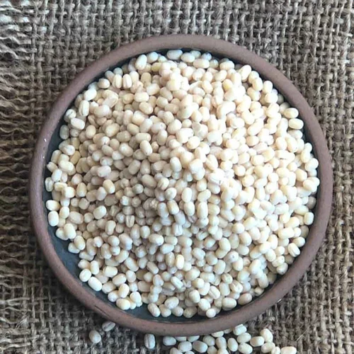 urad dal exporter from India